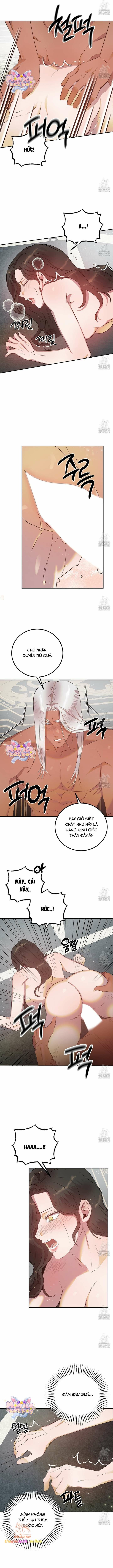đọc truyện [18+] Hậu Cung Của Nữ Hoàng Chương 7 ảnh 5 tại Giả Dược