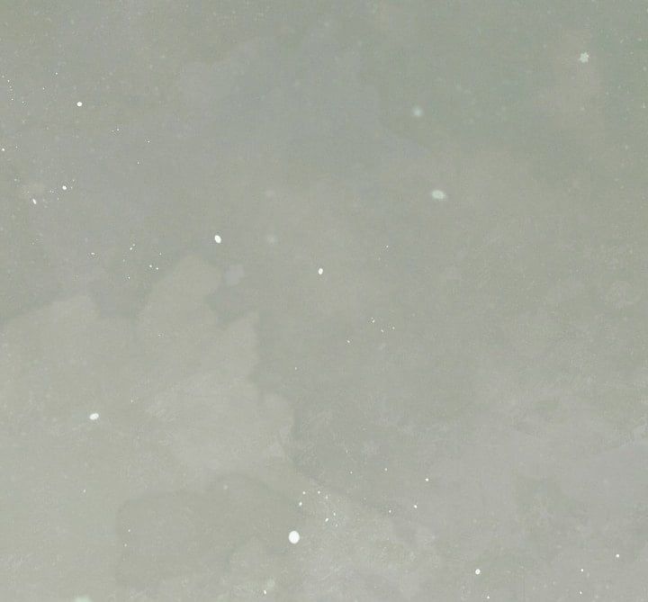 đọc truyện [18+] Hãy Cầu Xin Tôi Đi Chương 57 ảnh 29 tại Thiên Thai Truyện