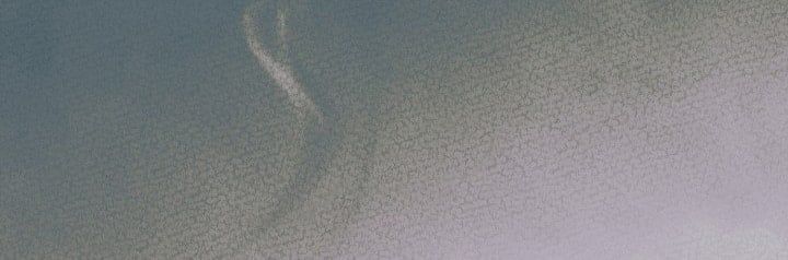 đọc truyện [18+] Hãy Cầu Xin Tôi Đi Chương 57 ảnh 10 tại Thiên Thai Truyện