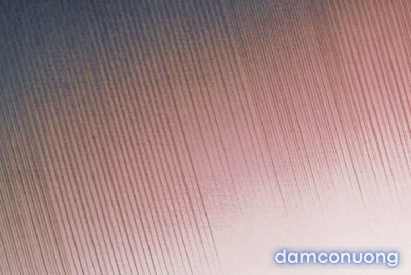 đọc truyện [18+] Hãy Cầu Xin Tôi Đi Chương 65 ảnh 78 tại Thiên Thai Truyện