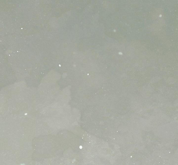 đọc truyện [18+] Hãy Cầu Xin Tôi Đii Chương 57 ảnh 28 tại Thiên Thai Truyện