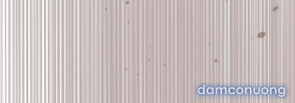 đọc truyện [18+] Hãy Cầu Xin Tôi Đii Chương 60 ảnh 125 tại Thiên Thai Truyện