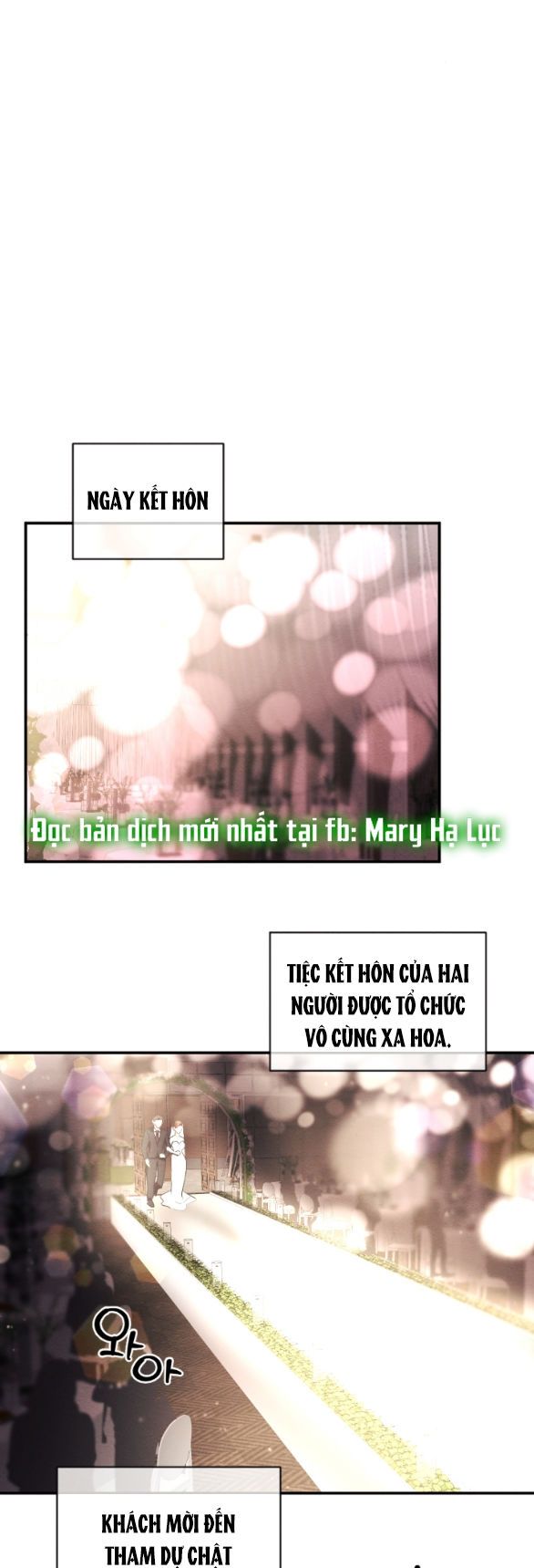 đọc truyện [18+] Hôn Nhân Bị Đánh Cắp Chương 17.1 ảnh 11 tại Giả Dược