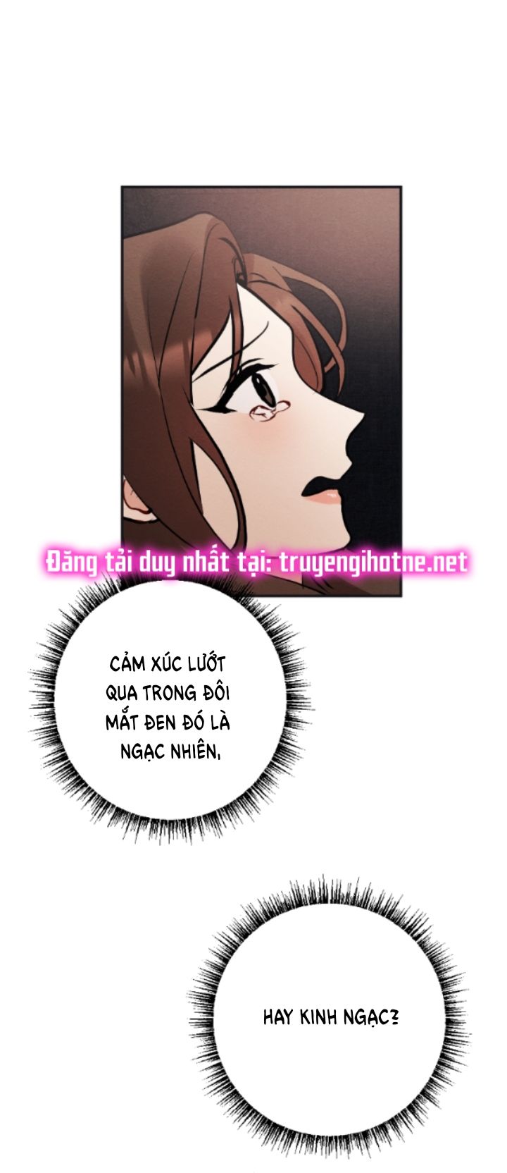 đọc truyện [18+] Hôn Nhân Bị Đánh Cắp Chương 27.2 ảnh 3 tại Giả Dược