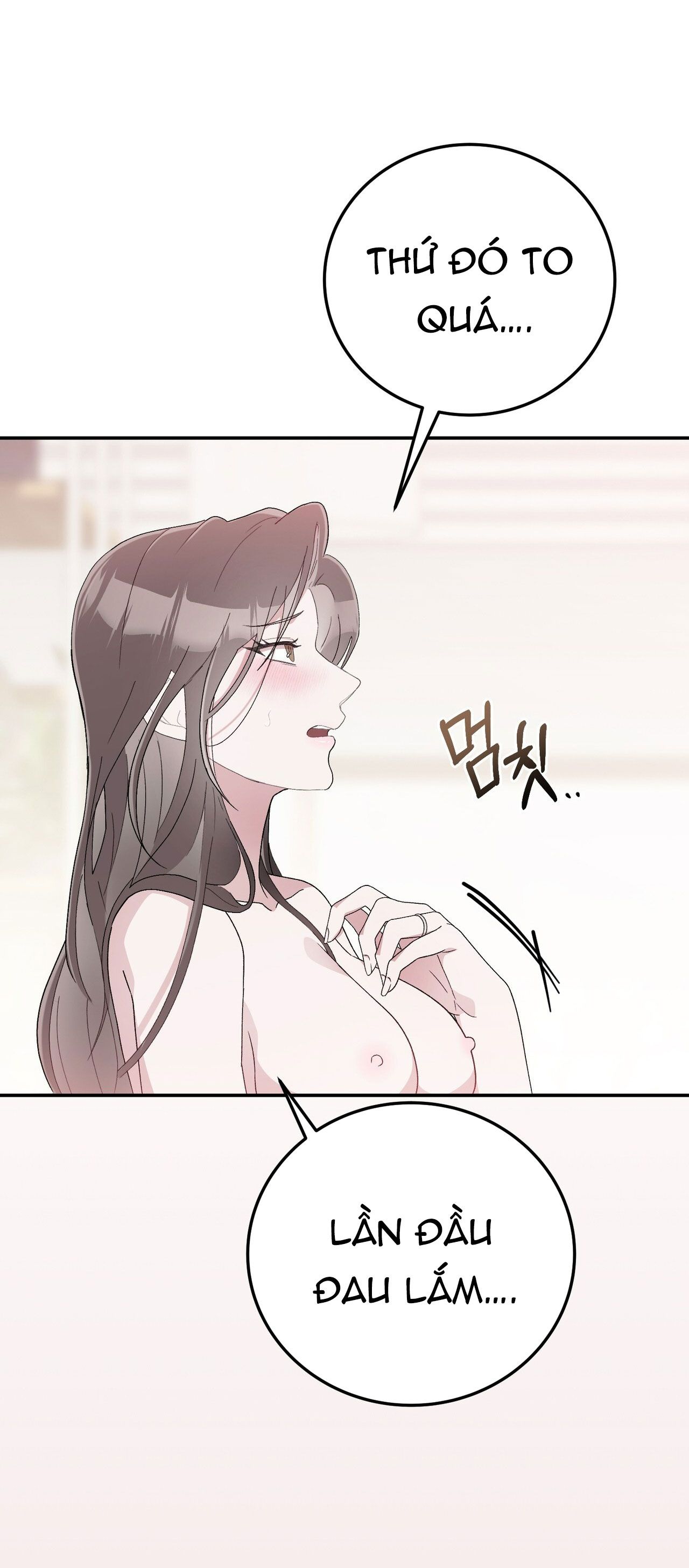 đọc truyện 18+ Hôn Nhân Hào Nhoáng Chương 28 ảnh 11 tại Giả Dược