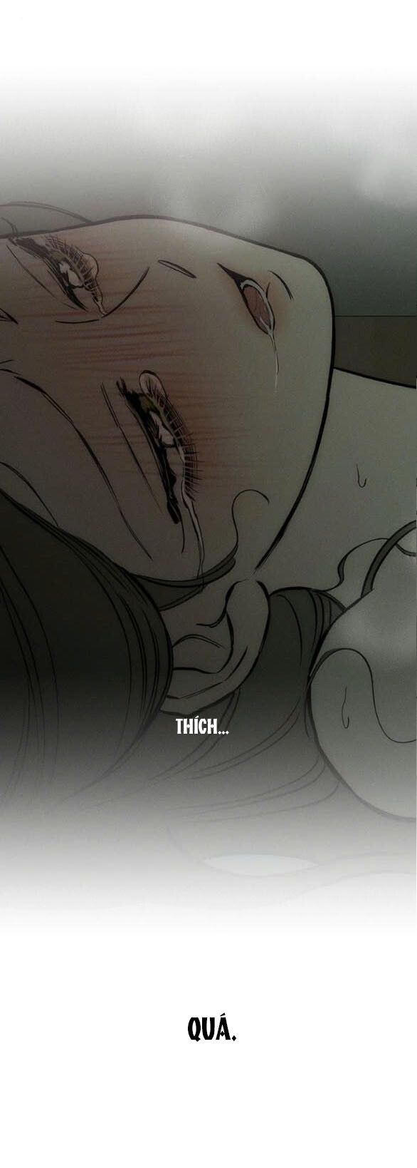 đọc truyện [18+] Lệ Vương Trên Cánh Hoa Tàn Chương 39 ảnh 33 tại Giả Dược