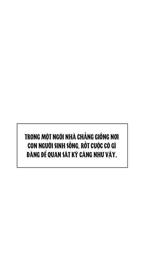 đọc truyện [18+] Lệ Vương Trên Cánh Hoa Tàn Chương 51 ảnh 94 tại Thiên Thai Truyện