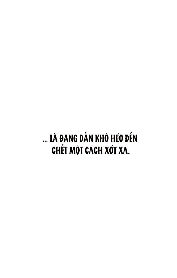 đọc truyện [18+] Lệ Vương Trên Cánh Hoa Tàn Chương 8 ảnh 25 tại Thiên Thai Truyện