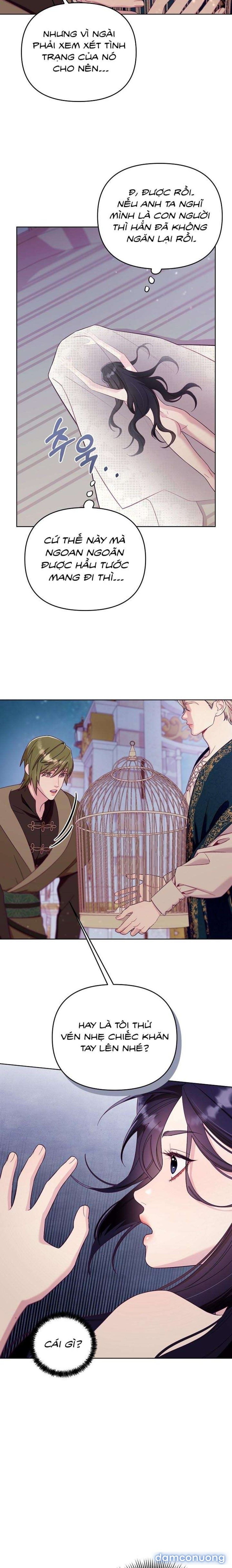 đọc truyện [18+] Lồng Chim Của Người Sưu Tầm Chương 2 ảnh 12 tại Thiên Thai Truyện