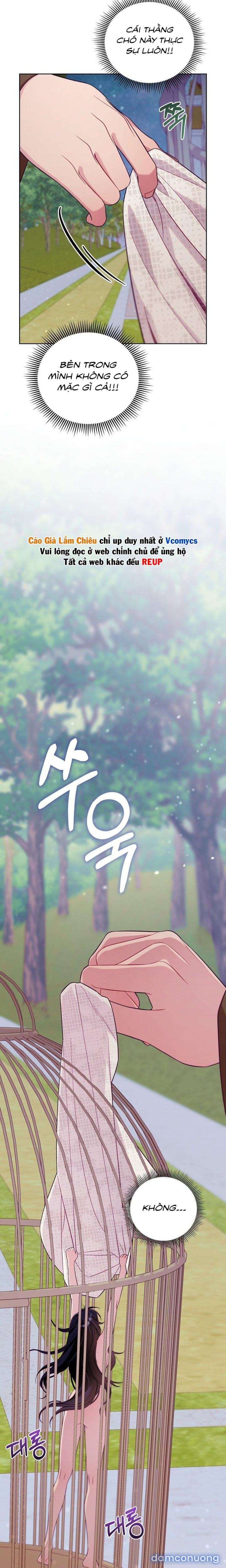 đọc truyện [18+] Lồng Chim Của Người Sưu Tầm Chương 2 ảnh 13 tại Thiên Thai Truyện