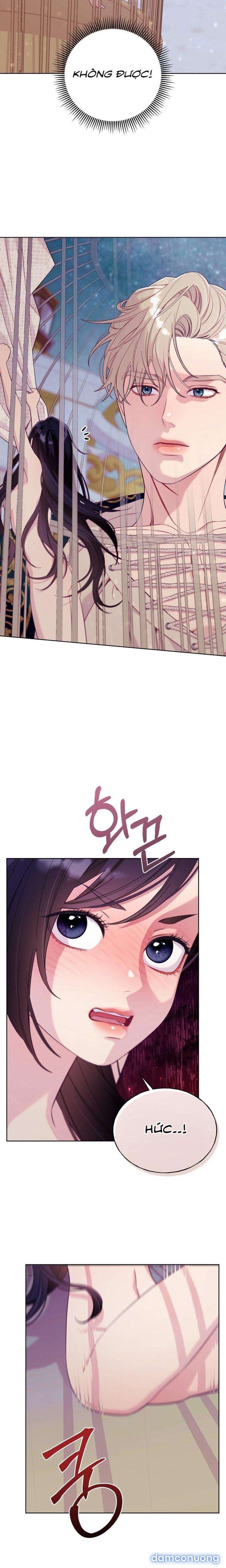 đọc truyện [18+] Lồng Chim Của Người Sưu Tầm Chương 2 ảnh 14 tại Thiên Thai Truyện