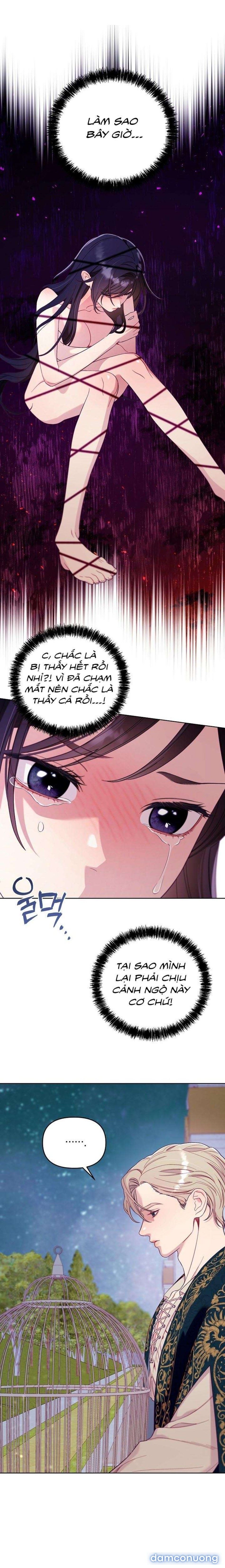 đọc truyện [18+] Lồng Chim Của Người Sưu Tầm Chương 2 ảnh 15 tại Thiên Thai Truyện