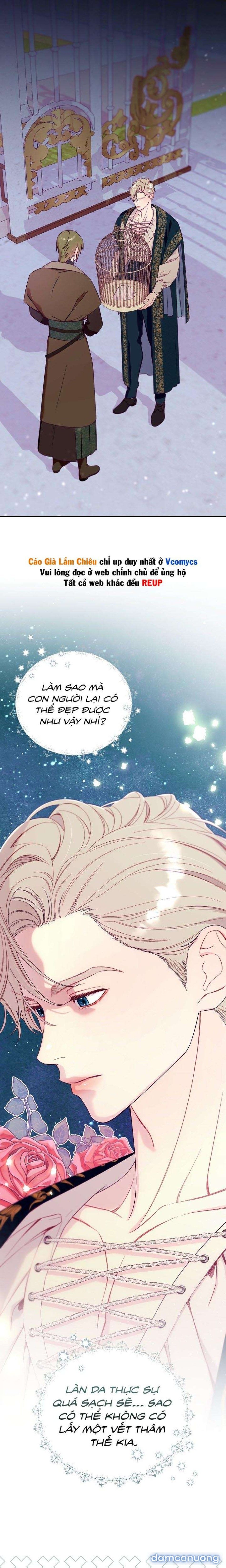 đọc truyện [18+] Lồng Chim Của Người Sưu Tầm Chương 2 ảnh 4 tại Thiên Thai Truyện