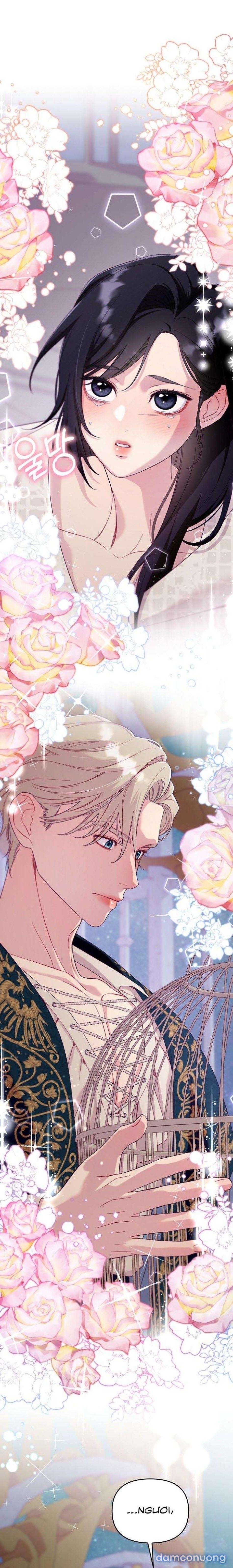 đọc truyện [18+] Lồng Chim Của Người Sưu Tầm Chương 2 ảnh 8 tại Thiên Thai Truyện