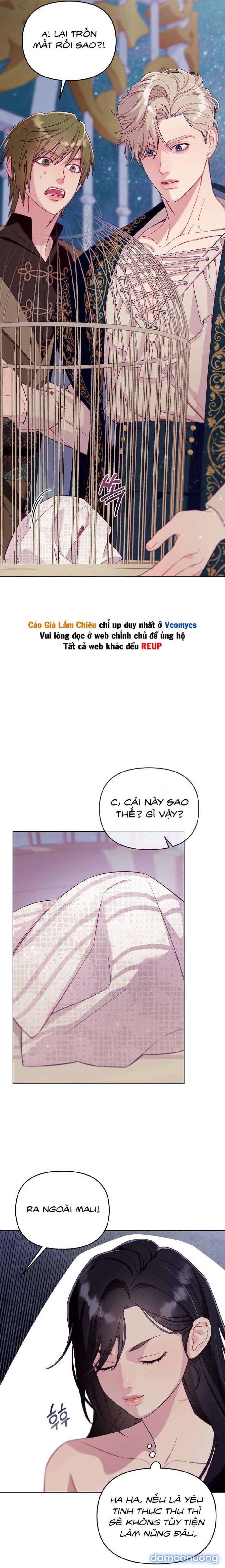 đọc truyện [18+] Lồng Chim Của Người Sưu Tầm Chương 2 ảnh 9 tại Thiên Thai Truyện