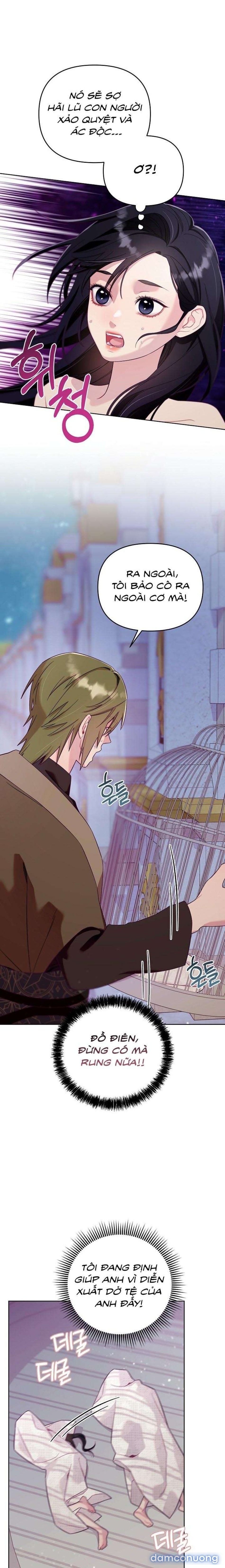 đọc truyện [18+] Lồng Chim Của Người Sưu Tầm Chương 2 ảnh 10 tại Thiên Thai Truyện