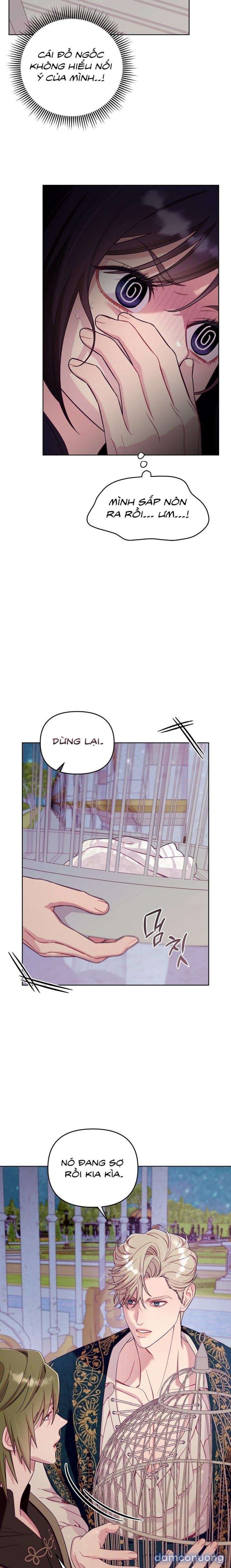 đọc truyện [18+] Lồng Chim Của Người Sưu Tầm Chương 2 ảnh 11 tại Thiên Thai Truyện