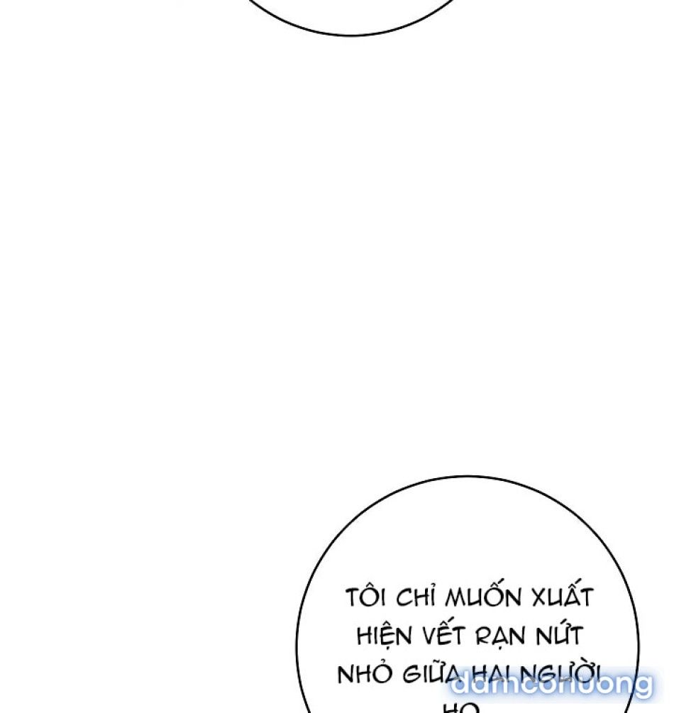 đọc truyện [18+] Mộ Thiên Nga Chương 26 ảnh 113 tại Thiên Thai Truyện