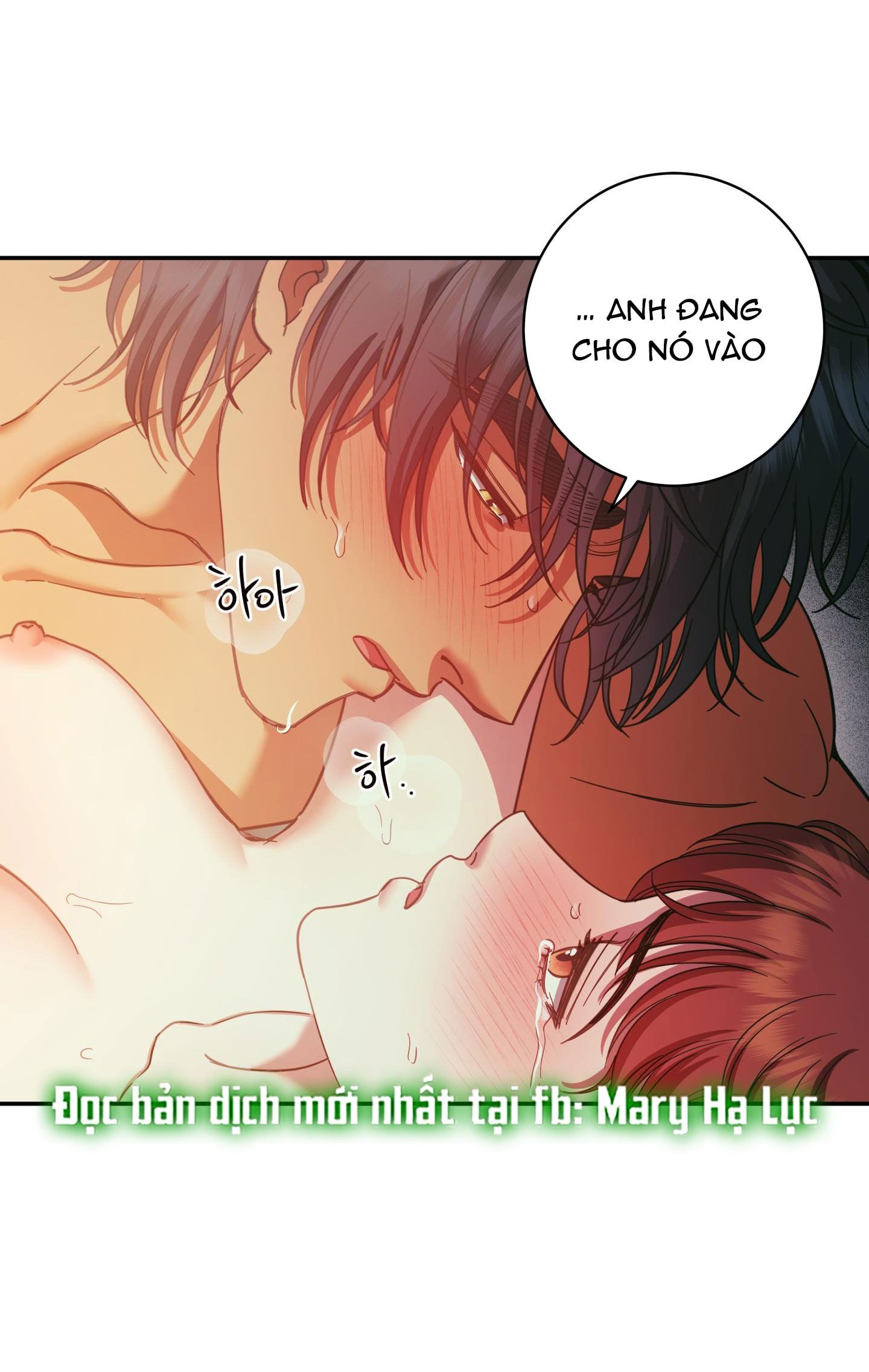 đọc truyện [18+] Một Lòng Một Dạ 2 Chương 95 ảnh 15 tại Thiên Thai Truyện