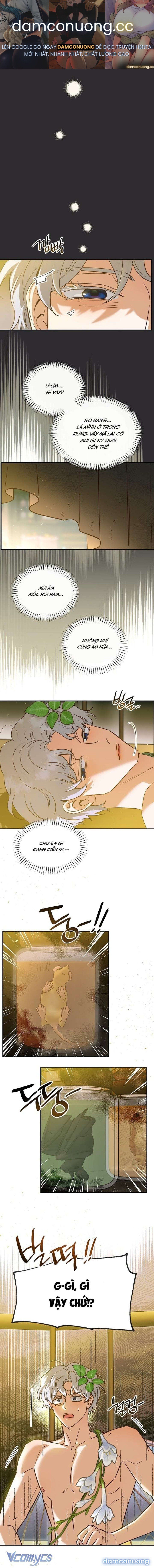 đọc truyện [18+] Nếu Nam Chính Nhỏ Thì Có Hơi Rắc Rối Phải Không? Chương 2 ảnh 2 tại Thiên Thai Truyện