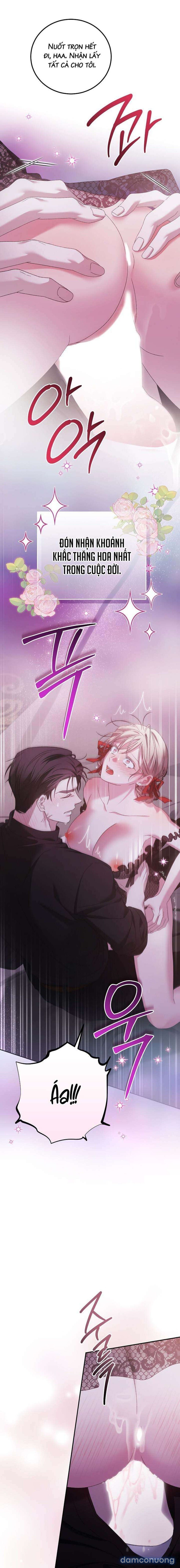 đọc truyện [18+] Ngoan Ngoãn Mang Thai Đi! Chương 17 ảnh 3 tại Thiên Thai Truyện