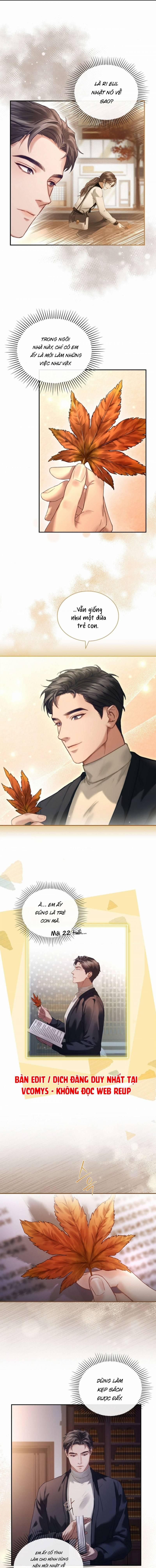 đọc truyện [18+] Người Vợ Trẻ Chương 23 ảnh 9 tại Giả Dược
