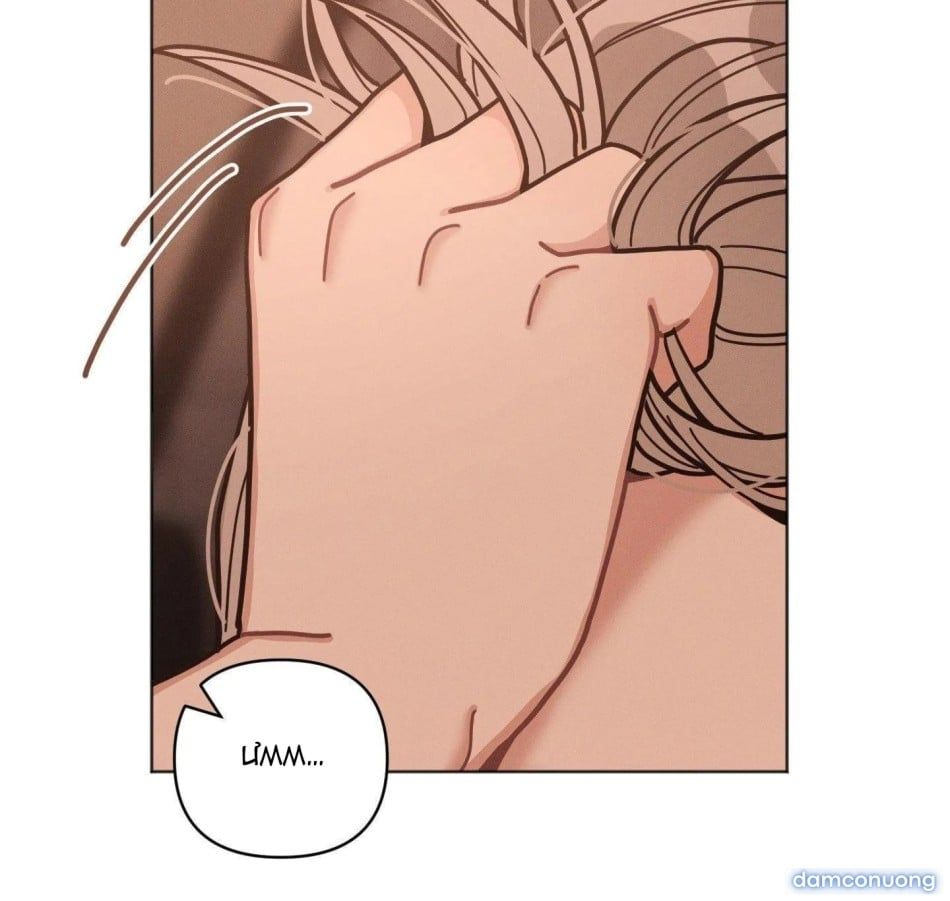 đọc truyện [18+] Nhật Ký Nghiên Cứu Của Giáo Sư Chương 8 ảnh 9 tại Thiên Thai Truyện