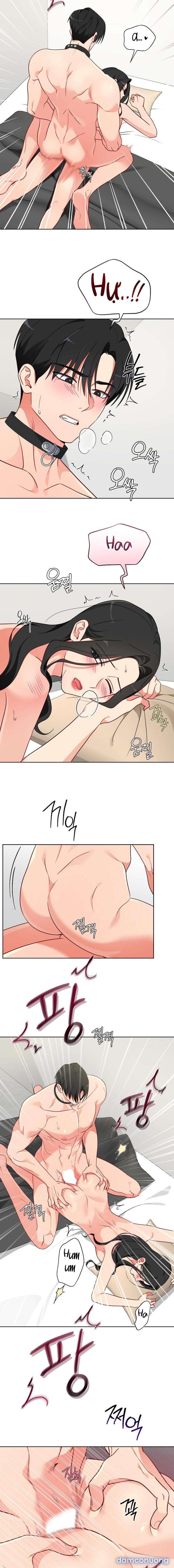 đọc truyện 〖18+〗- Những Con Đực Trong Phòng Nhân Giống Chương 11 ảnh 8 tại Thiên Thai Truyện