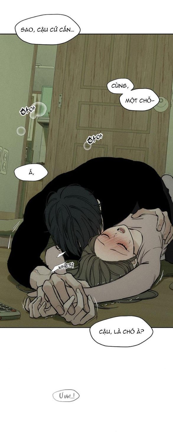 đọc truyện [18+] Nước Mắt Rơi Trên Những Bông Hoa Héo Úa Chương 48 ảnh 18 tại Thiên Thai Truyện
