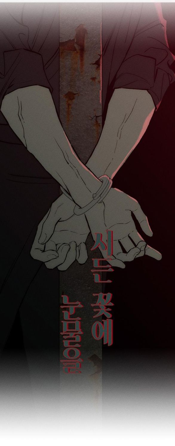 đọc truyện [18+] Nước Mắt Rơi Trên Những Bông Hoa Héo Úa Chương 59 ảnh 45 tại Truyện Dạ Ký