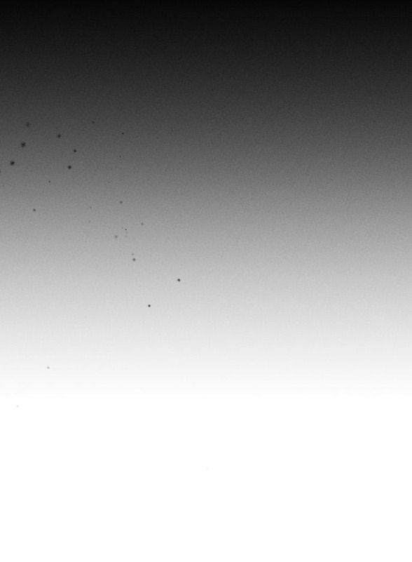 đọc truyện [18+] Nước Mắt Trên Đóa Hoa Tàn Chương 67 ảnh 29 tại Thiên Thai Truyện