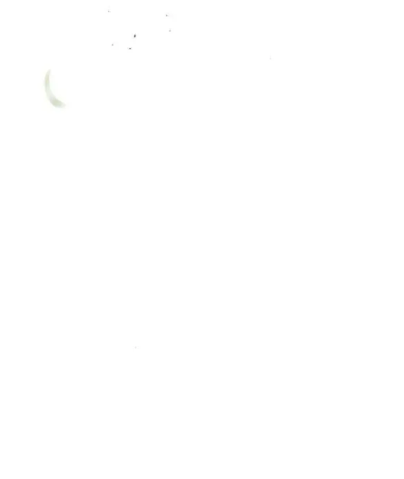 đọc truyện [18+] Phòng Ngủ Bí Mật Của Công Chúa Bị Bỏ Rơi Chương 48.5 ảnh 78 tại Thiên Thai Truyện