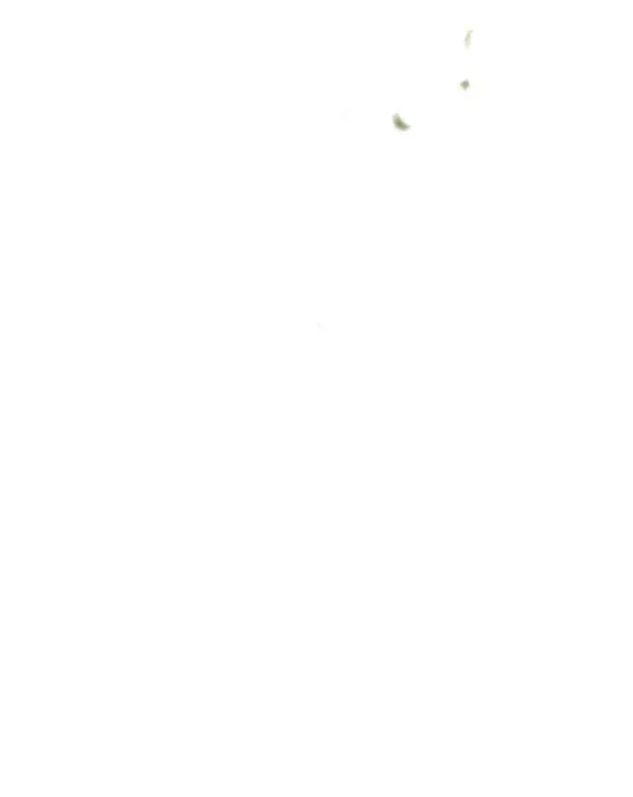 đọc truyện [18+] Phòng Ngủ Bí Mật Của Công Chúa Bị Bỏ Rơi Chương 54.1 ảnh 5 tại Thiên Thai Truyện