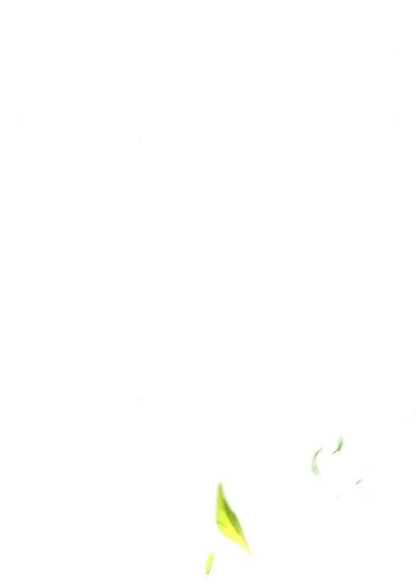 đọc truyện [18+] Phòng Ngủ Bí Mật Của Công Chúa Bị Bỏ Rơi Chương 55.2 ảnh 134 tại Thiên Thai Truyện