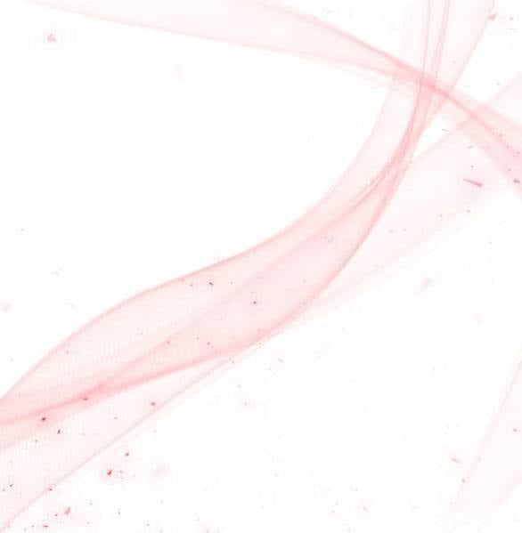 đọc truyện [18+] Phòng Ngủ Bí Mật Của Công Chúa Bị Bỏ Rơi Chương 57.1 ảnh 63 tại Thiên Thai Truyện