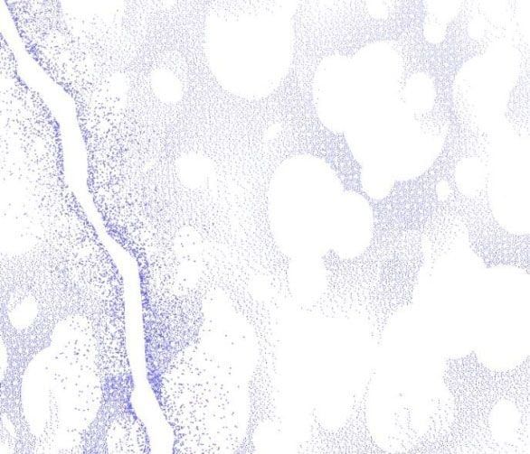 đọc truyện [18+] Phòng Ngủ Bí Mật Của Công Chúa Bị Bỏ Rơi Chương 62.1 ảnh 5 tại Thiên Thai Truyện