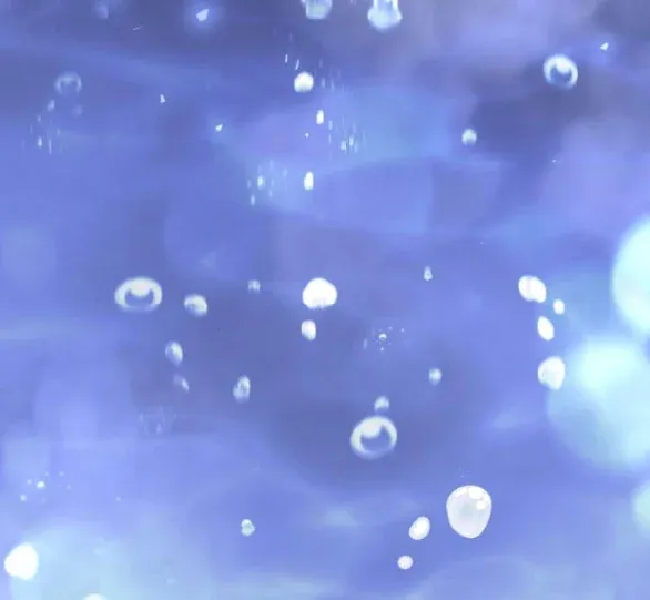 đọc truyện [18+] Phòng Ngủ Bí Mật Của Công Chúa Bị Bỏ Rơi Chương 64.2 ảnh 31 tại Thiên Thai Truyện