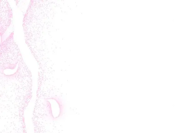 đọc truyện [18+] Phòng Ngủ Bí Mật Của Công Chúa Bị Bỏ Rơi Chương 64.2 ảnh 49 tại Thiên Thai Truyện