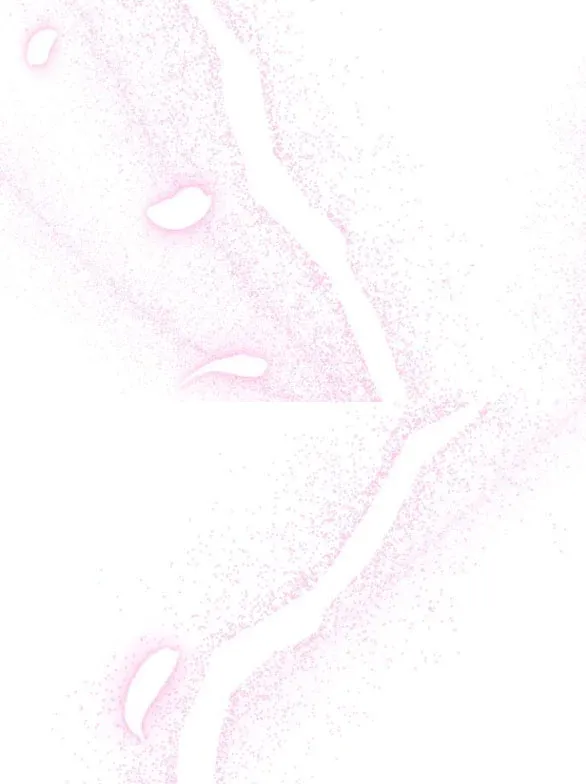 đọc truyện [18+] Phòng Ngủ Bí Mật Của Công Chúa Bị Bỏ Rơi Chương 64.2 ảnh 51 tại Thiên Thai Truyện