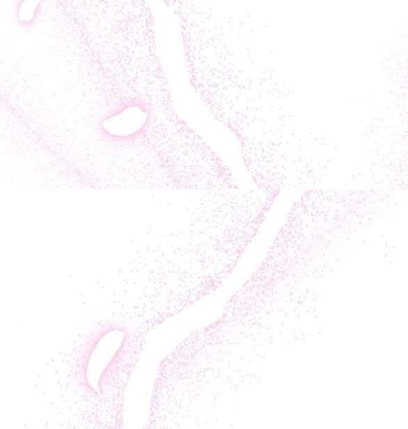 đọc truyện [18+] Phòng Ngủ Bí Mật Của Công Chúa Bị Bỏ Rơi Chương 65.1 ảnh 10 tại Thiên Thai Truyện