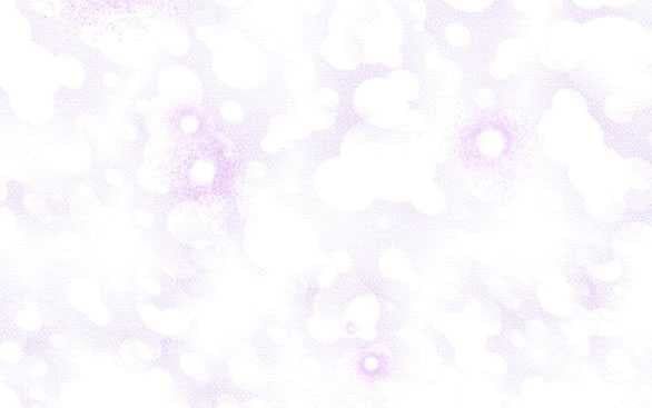 đọc truyện [18+] Phòng Ngủ Bí Mật Của Công Chúa Bị Bỏ Rơi Chương 66.1 ảnh 18 tại Thiên Thai Truyện