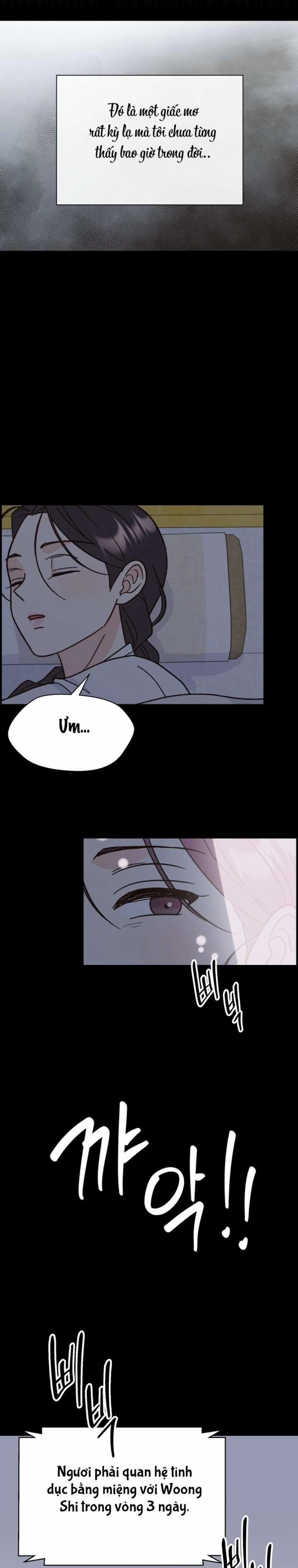 đọc truyện 〖18+〗- Quý Phu Nhân Không Ngủ Được Chương 1 ảnh 13 tại Thiên Thai Truyện