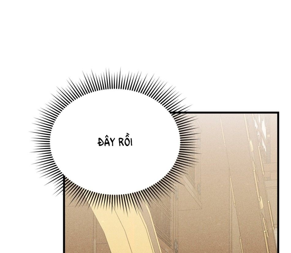 [18+] Quý Phu Nhân Thanh Tao Chương 16 page 23 - Giả Dược