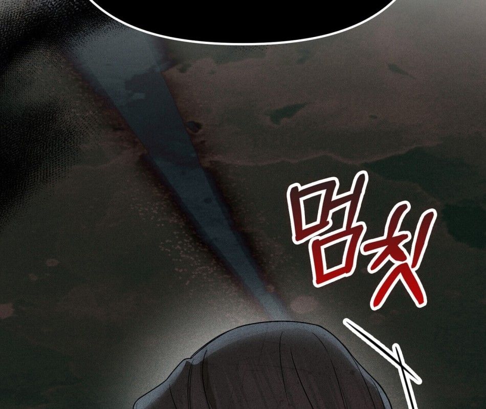 [18+] Quý Phu Nhân Thanh Tao Chương 6 page 87 - Giả Dược