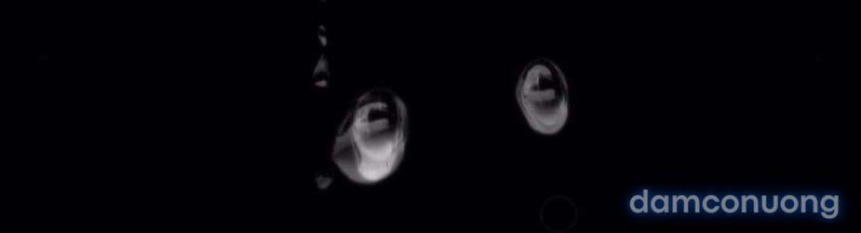 đọc truyện 〖18+〗- Quyết Tâm Bị Ruồng Bỏ Chương 1 ảnh 3 tại Thiên Thai Truyện