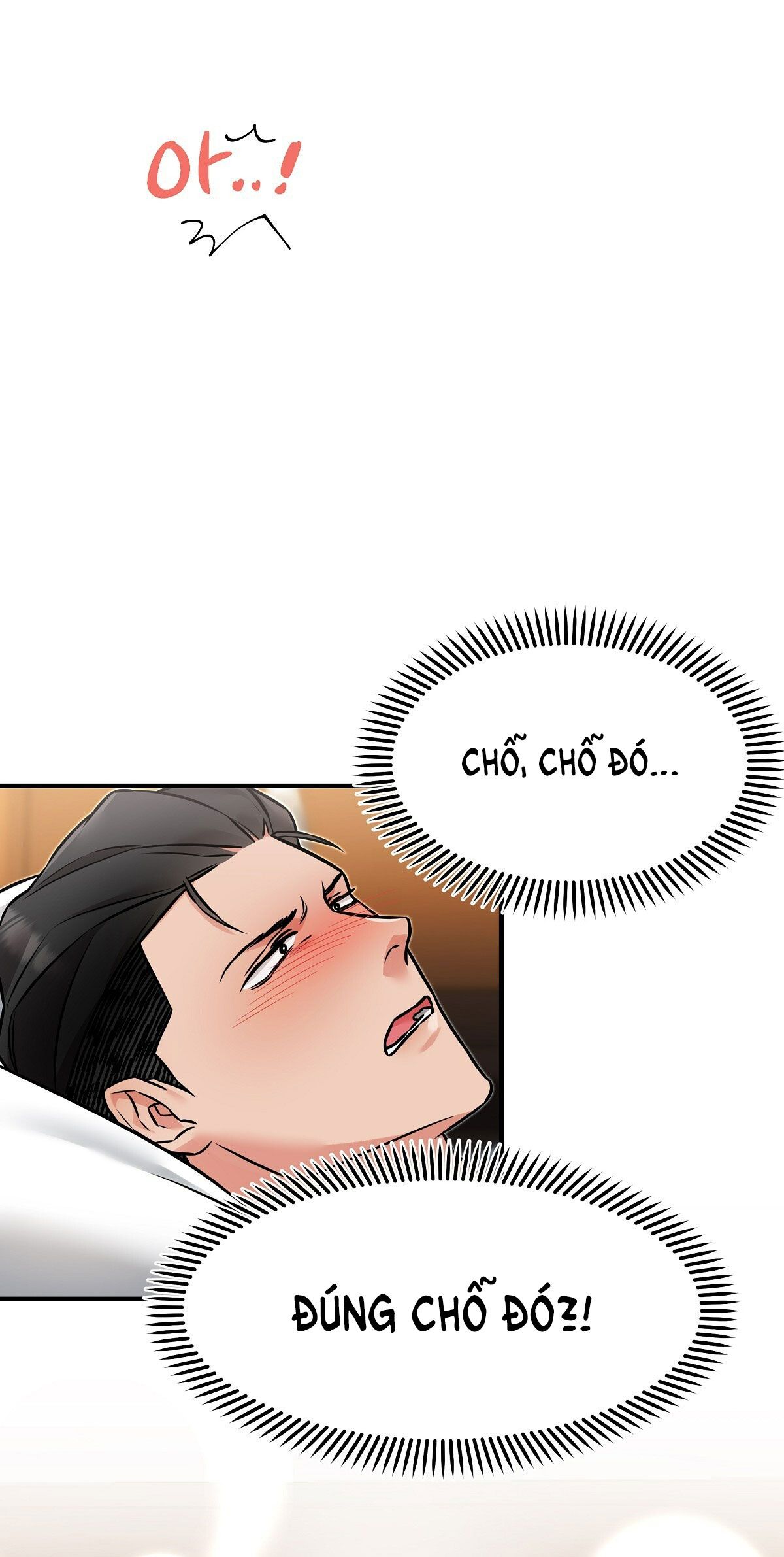 đọc truyện [18+] Rồng Bay Mây Lượn Chương 3 ảnh 1 tại Giả Dược