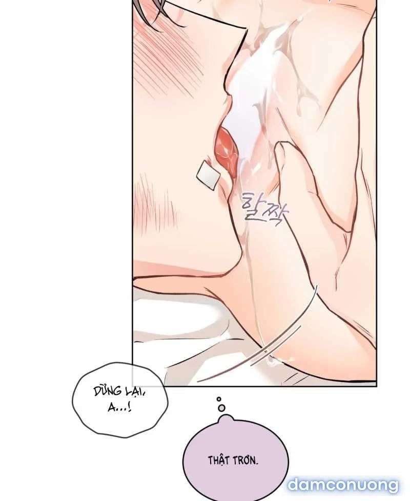 đọc truyện [18+] Trong Nhà Tôi Có Chuột Chương 19.2 ảnh 3 tại Giả Dược