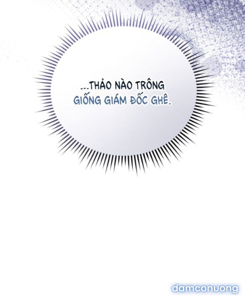 [18+] Vào Một Đêm Không Dịu Dàng Chương 8 page 8 - Giả Dược