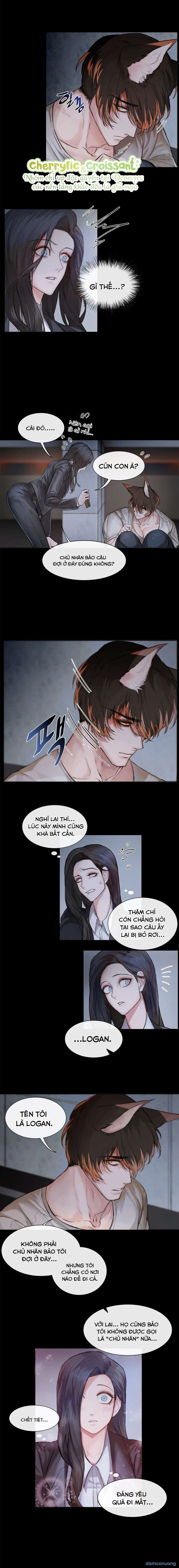 đọc truyện 『18+』cún Con Của Chủ Nhân Chương 1 ảnh 4 tại Thiên Thai Truyện