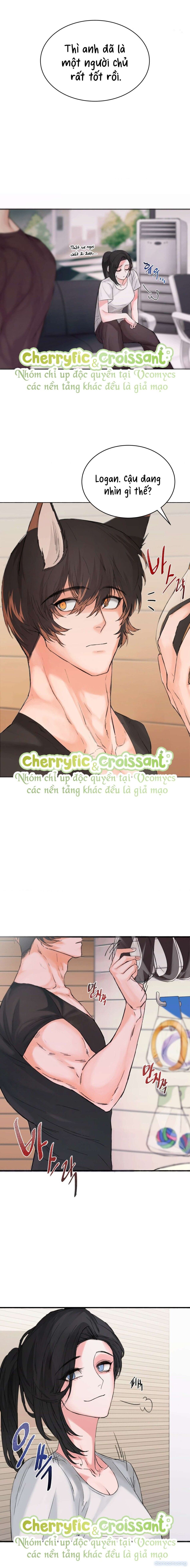 đọc truyện 『18+』cún Con Của Chủ Nhân Chương 2 ảnh 13 tại Thiên Thai Truyện